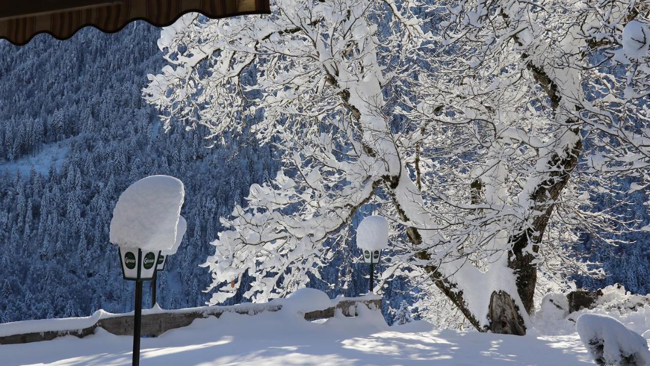 Gasthof Lamprechtbauer Kotschach-Mauthen Екстер'єр фото